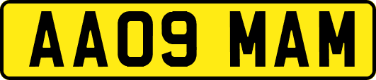 AA09MAM