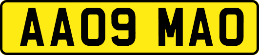 AA09MAO
