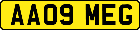 AA09MEG