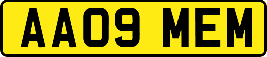 AA09MEM