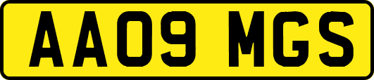 AA09MGS
