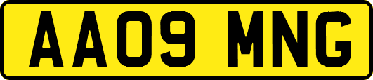 AA09MNG