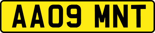 AA09MNT