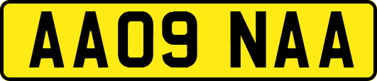 AA09NAA