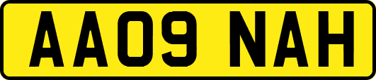 AA09NAH