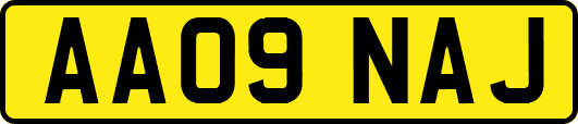 AA09NAJ