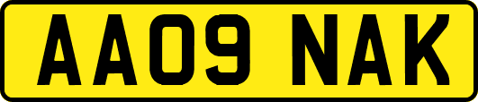 AA09NAK