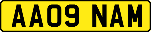 AA09NAM