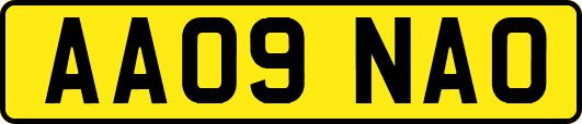 AA09NAO