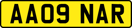 AA09NAR
