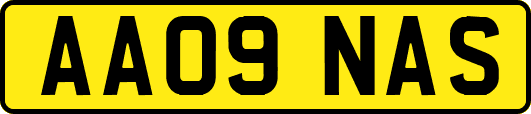 AA09NAS