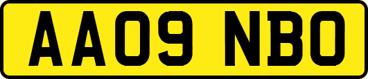 AA09NBO