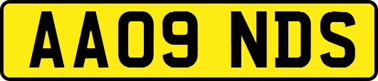 AA09NDS
