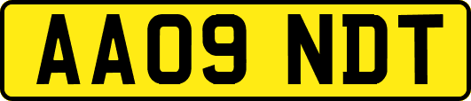 AA09NDT