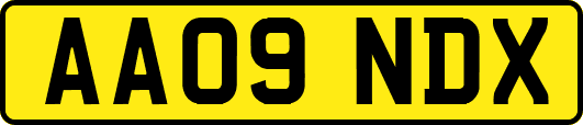 AA09NDX