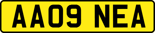 AA09NEA