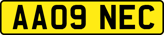 AA09NEC