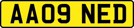 AA09NED