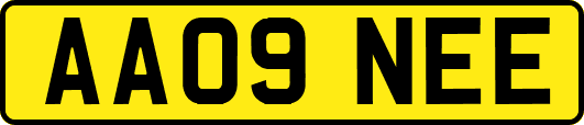 AA09NEE