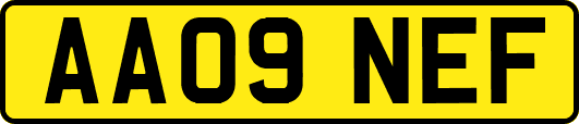 AA09NEF