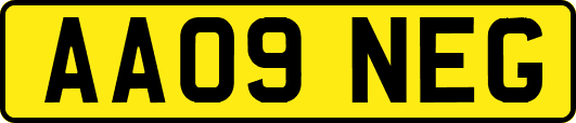 AA09NEG