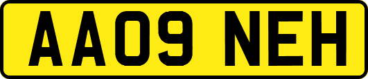 AA09NEH