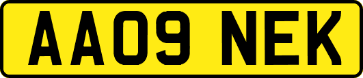 AA09NEK
