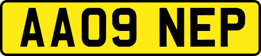 AA09NEP