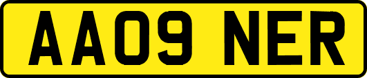AA09NER