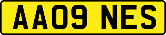 AA09NES