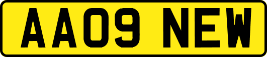 AA09NEW