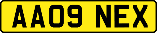 AA09NEX