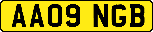 AA09NGB