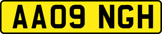 AA09NGH