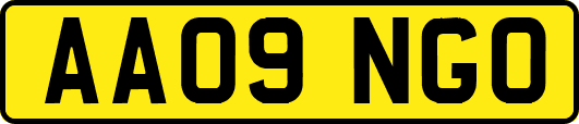 AA09NGO