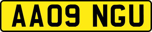 AA09NGU
