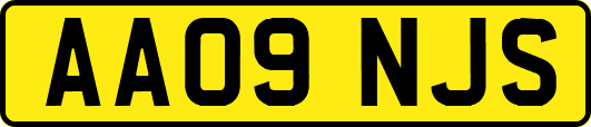 AA09NJS