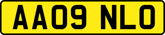 AA09NLO