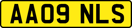 AA09NLS