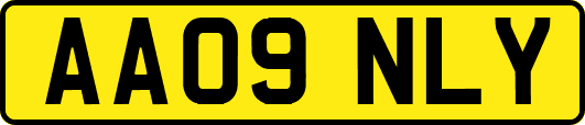 AA09NLY