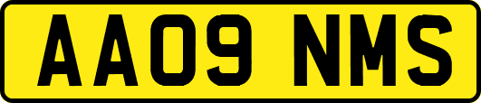 AA09NMS