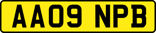 AA09NPB
