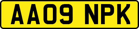 AA09NPK