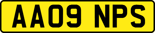AA09NPS