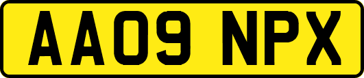 AA09NPX