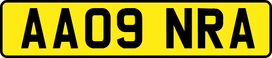 AA09NRA