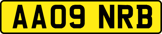AA09NRB