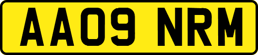 AA09NRM