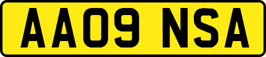 AA09NSA