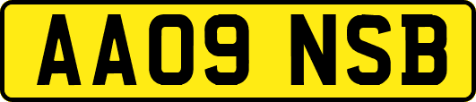 AA09NSB